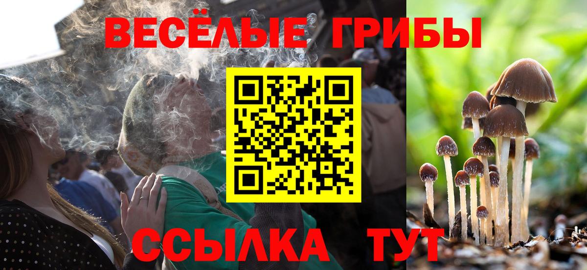 Галлюциногенные грибы Cubensis Калач-на-Дону